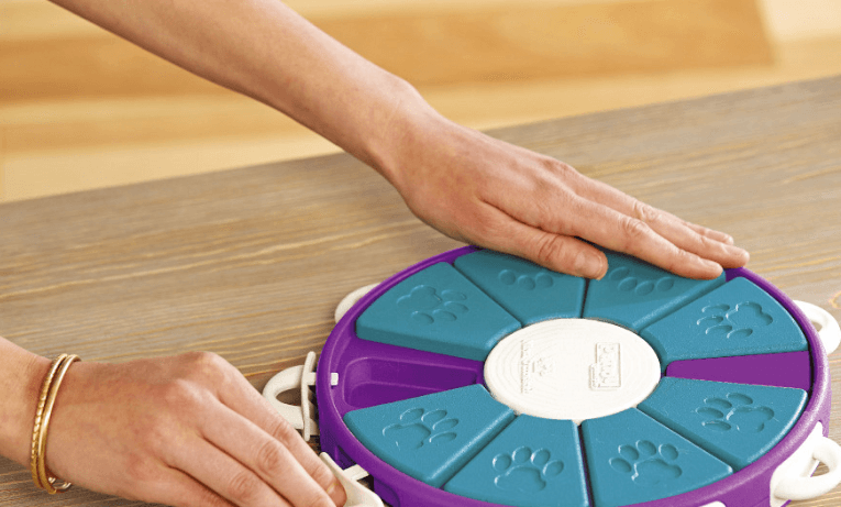 Interactive Canine Learning Set