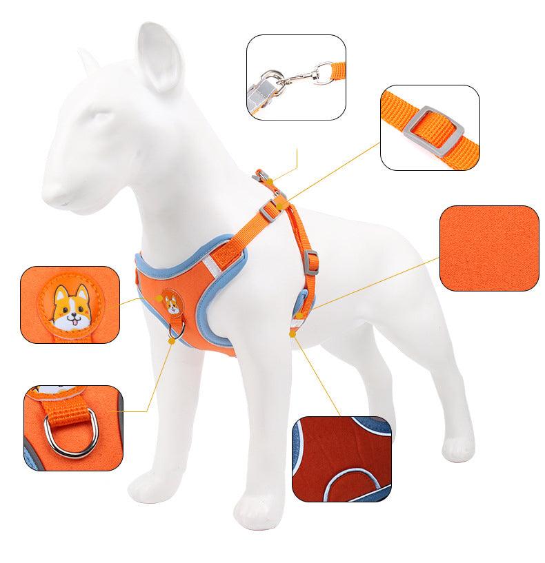 Ultimate Comfort And Safety Pet Harness Set-2