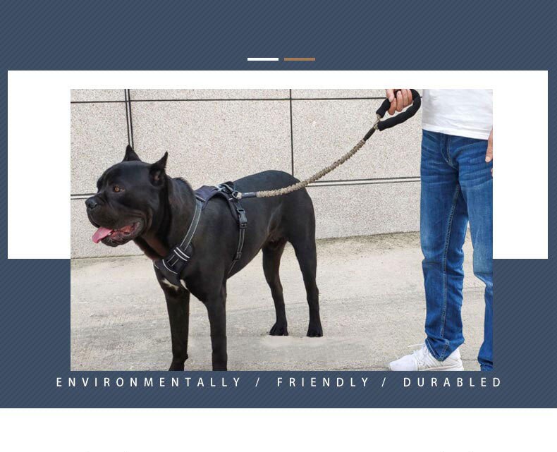 Nylon Pet Dog Leash Collar Durable Traction Rope Outdoor Pet Walking Lead Leashes for Large Dogs Cats Pets Training Supplies-1